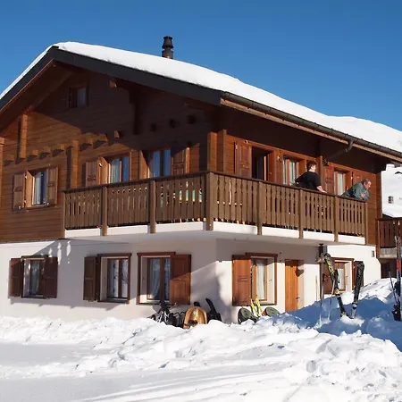 Silberdistel Rosswald