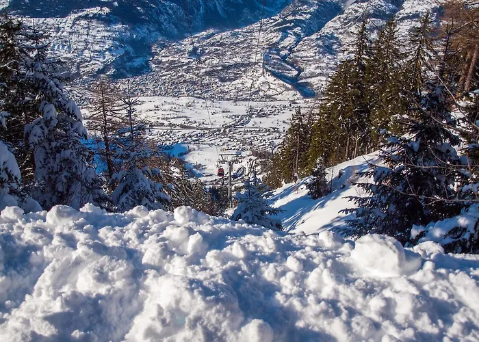 Daire Silberdistel *