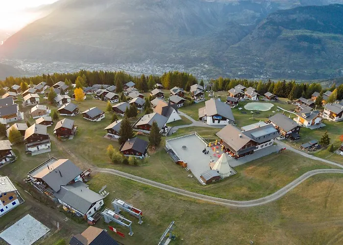 Silberdistel Daire Rosswald