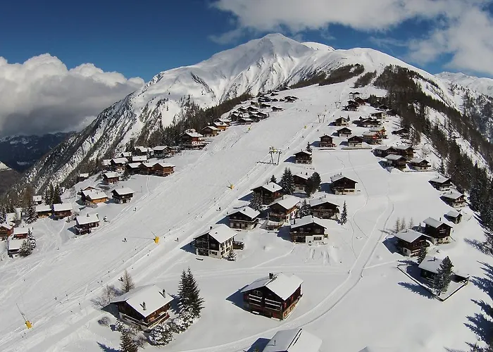 Silberdistel Daire Rosswald