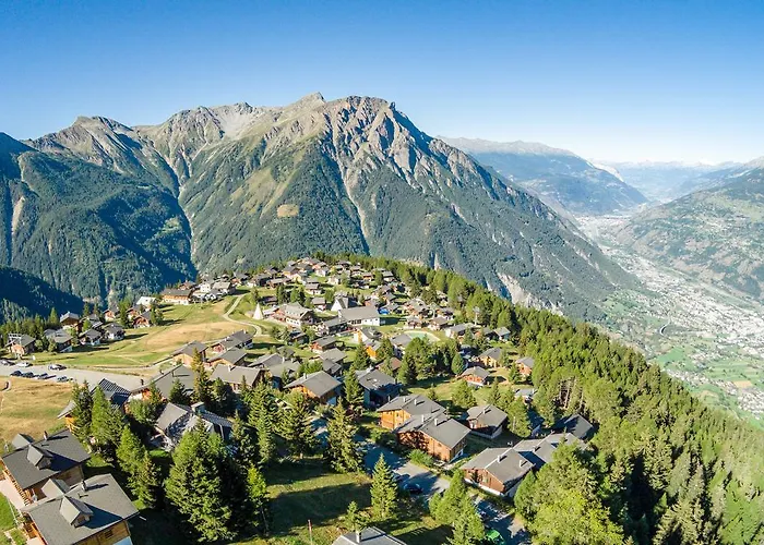 Silberdistel Rosswald