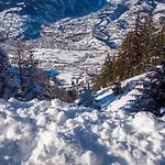 아파트 Silberdistel *