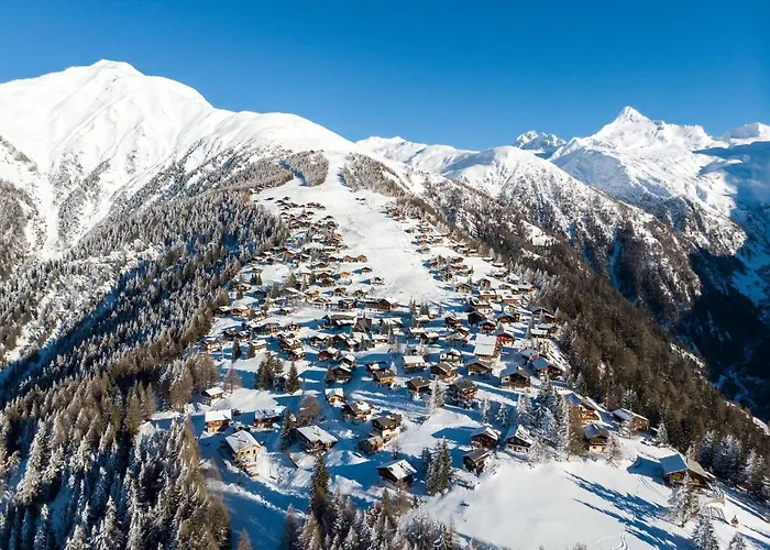 Silberdistel Rosswald